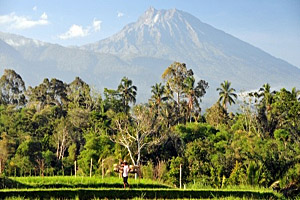 Lombok Gunung Rinjani  Matej Hudovernik | 123RF.com