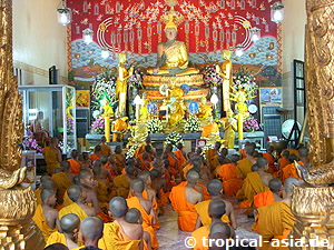 junge Mnche im Tempel (Wat)  tropical-travel.de