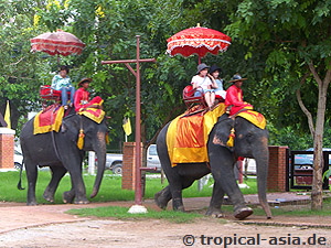 Ayutthaya  tropical-travel.de