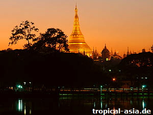 Swedagon Pagode Yangon  Alena Yakusheva - Dreamstime.com