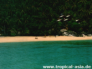 Pulau Tioman   tropical-travel.de