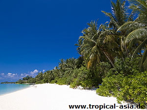 Malediven © Gator - Dreamstime.com