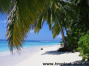 Mentawai Inseln   Felipe Oliveira | Dreamstime.com