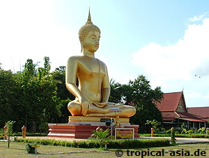 Buddha bei Sukkothai  tropical-travel.de