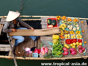 Markt im Mekongdelta © Artur Zebrowski | Dreamstime.com