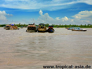 im Mekongdelta  Ahnhuynh | Dreamstime.com