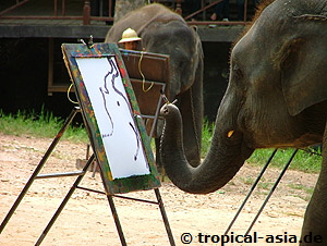 Elefantencamp  tropical-travel.de