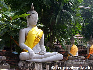 Ayutthaya © tropical-travel.de